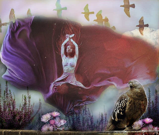 赛的观赏性 赛的观赏性