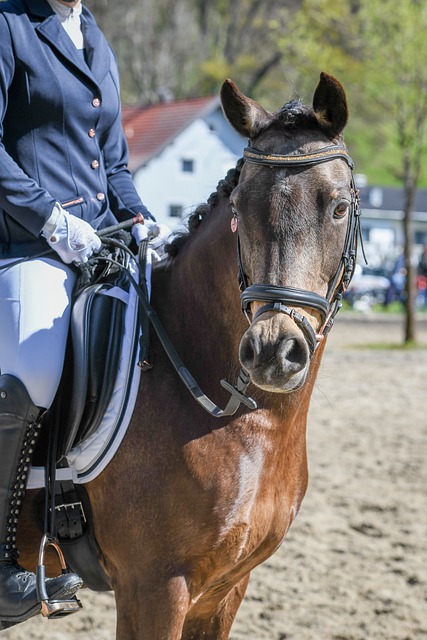 而在当前阶 而在当前阶