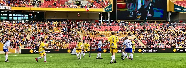 分和顶级防 分和顶级防