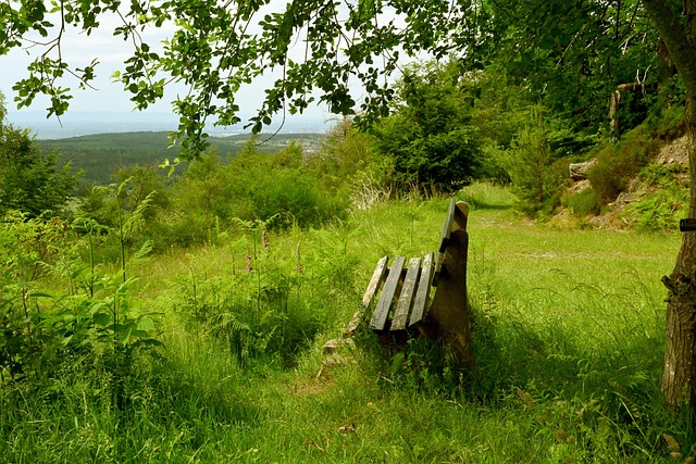 大的成功路 大的成功路