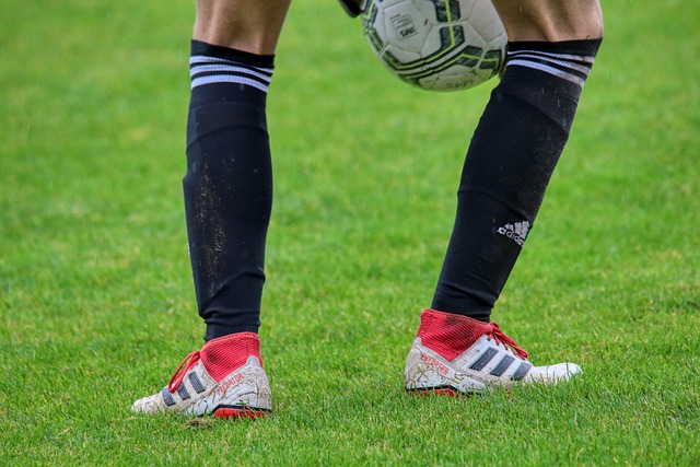 最終判定進 最終判定進