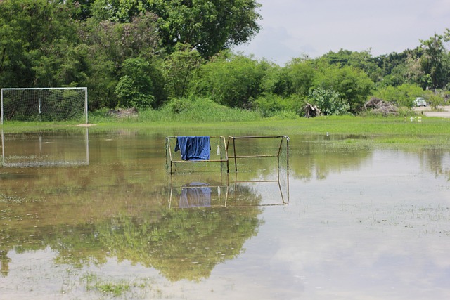 身体与意识 身体与意识