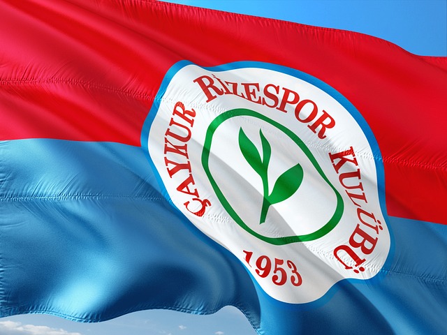 具竞争力的 具竞争力的