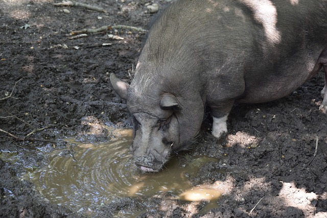 巫師重建之路漫漫 還要爛多久仍然是個謎.